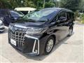 2020 Toyota Alphard G