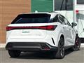 2025 Lexus RX