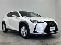 2019 Lexus UX