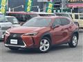 2019 Lexus UX