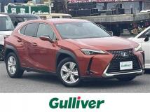 2019 Lexus UX