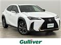 2021 Lexus UX