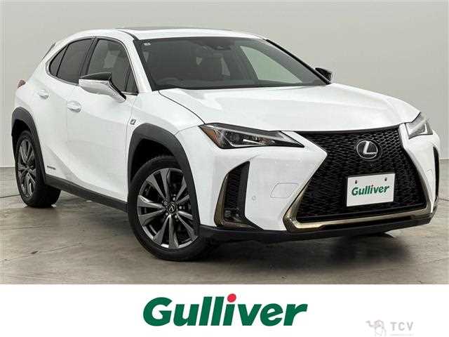 2021 Lexus UX