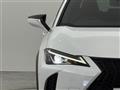 2021 Lexus UX