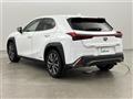 2021 Lexus UX