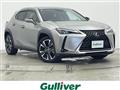 2019 Lexus UX