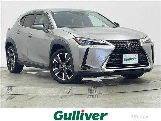 2019 Lexus UX