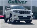 2019 Toyota Land Cruiser Prado