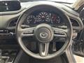 2019 Mazda CX-3