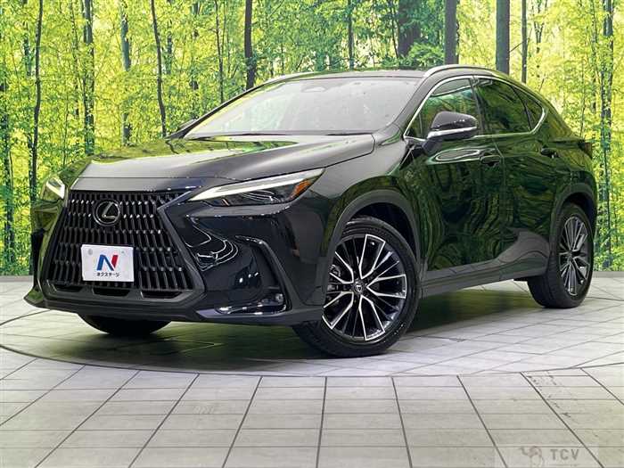 2023 Lexus NX