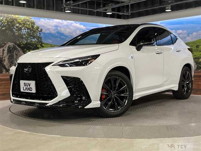 2023 Lexus NX