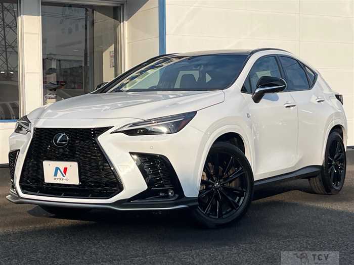 2023 Lexus NX