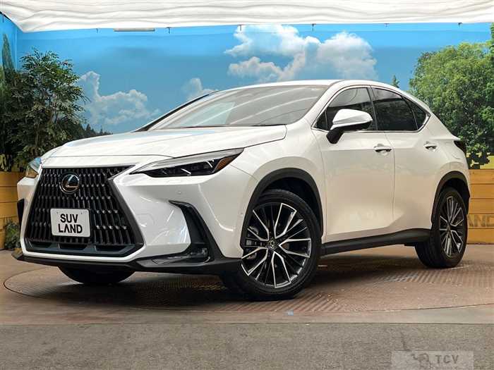 2023 Lexus NX