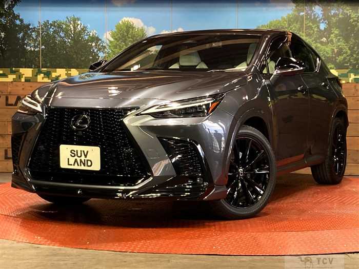 2023 Lexus NX