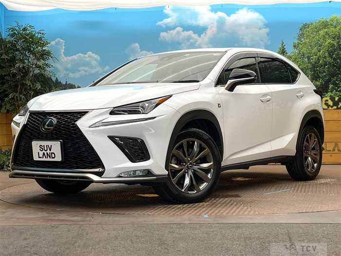 2019 Lexus NX