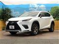 2019 Lexus NX