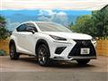 2019 Lexus NX