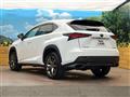 2019 Lexus NX