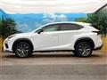 2019 Lexus NX