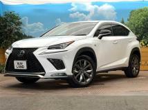 2019 Lexus NX