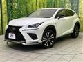 2019 Lexus NX