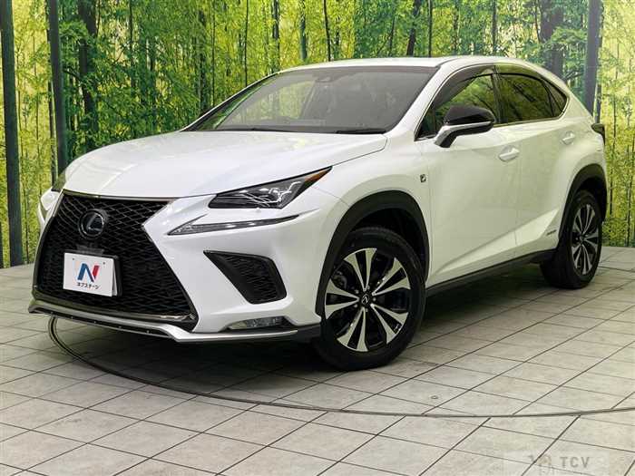 2019 Lexus NX