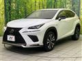 2019 Lexus NX