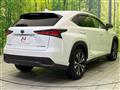 2019 Lexus NX