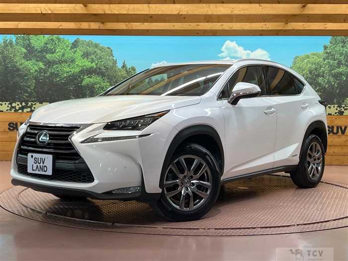 2015 Lexus NX