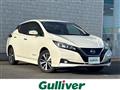2020 Nissan Leaf