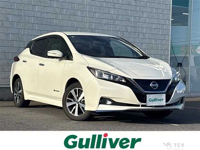 2020 Nissan Leaf