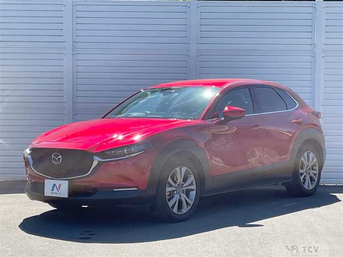 2019 Mazda Mazda Others