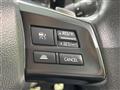 2013 Subaru Subaru Others
