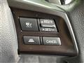 2013 Subaru Subaru Others