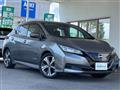 2022 Nissan Leaf