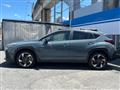 2023 Subaru Subaru Others