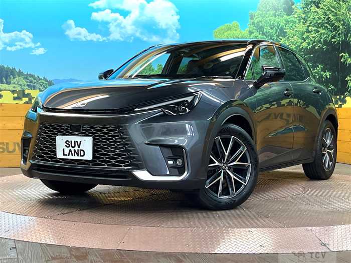 2024 Lexus Other