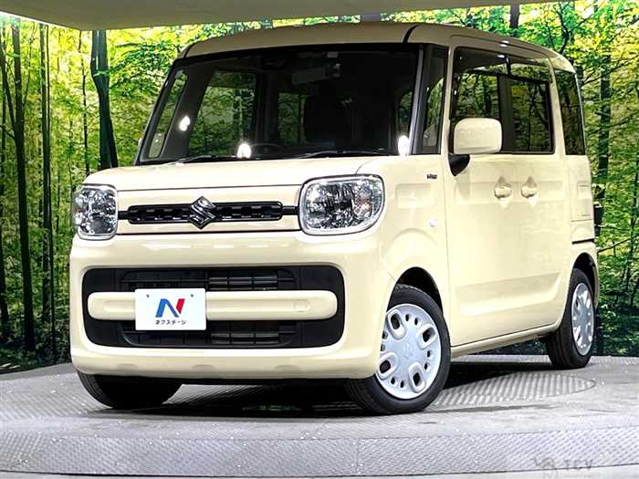 2019 Suzuki Spacia