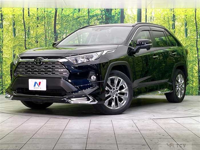 2019 Toyota RAV4