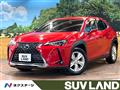 2019 Lexus Other
