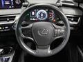 2019 Lexus Other