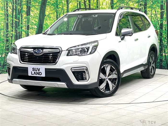 2019 Subaru Forester