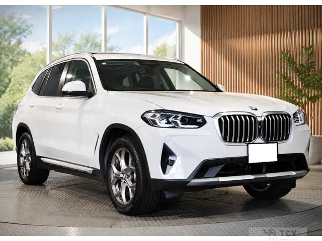 2023 BMW X3