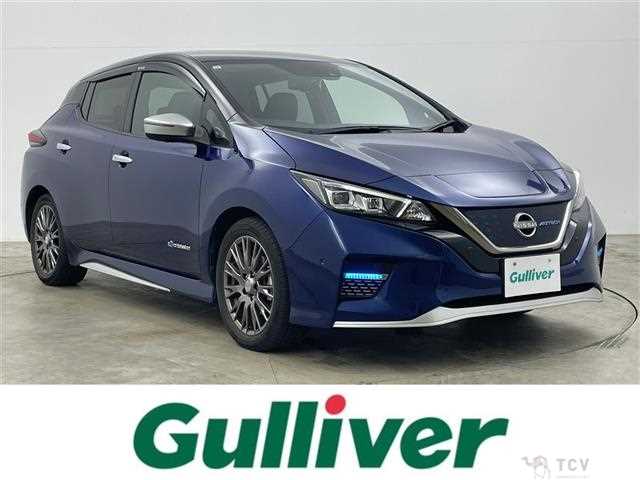 2021 Nissan Leaf