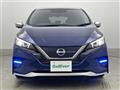2021 Nissan Leaf