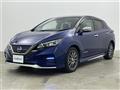 2021 Nissan Leaf