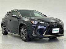 2019 Lexus UX