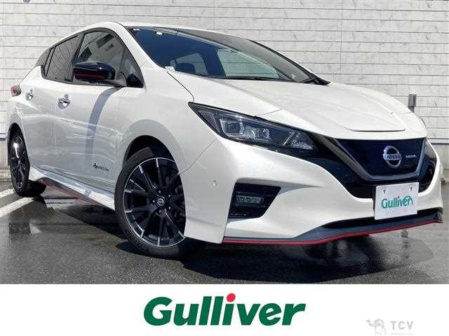 2019 Nissan Leaf