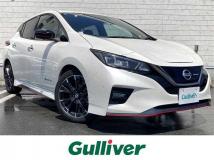2019 Nissan Leaf
