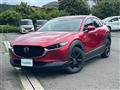 2021 Mazda CX-3